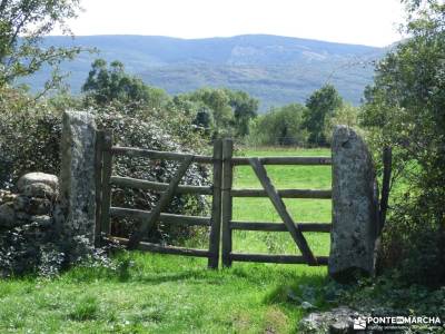 Vuelta al Senderismo-Valle Lozoya; fotos de la selva esquiar alto campoo serra do courel actividades